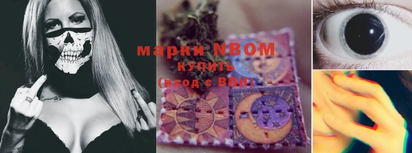 PSILOCYBIN Протвино
