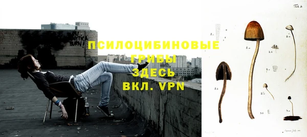 первитин Гвардейск