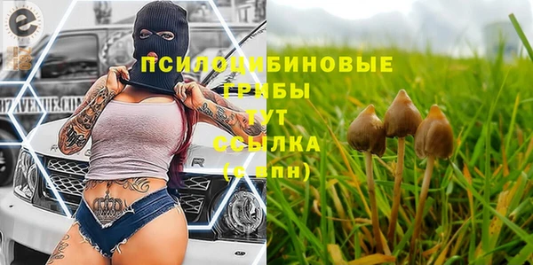соль ск Галич