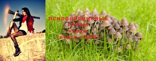 PSILOCYBIN Протвино