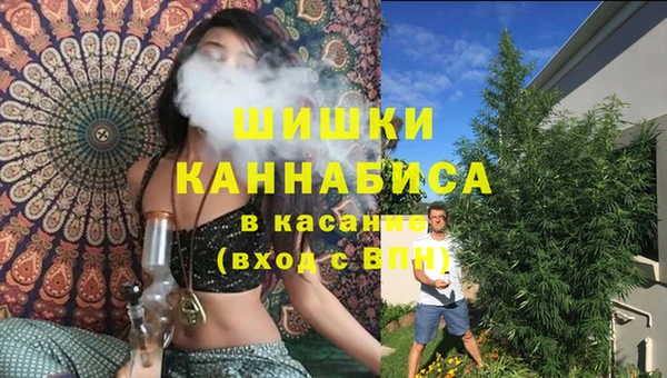 PSILOCYBIN Протвино