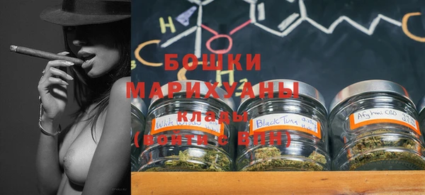 PSILOCYBIN Протвино