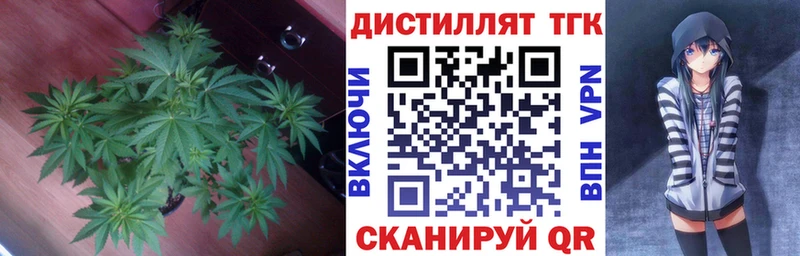 ТГК THC oil  как найти закладки  Темрюк 