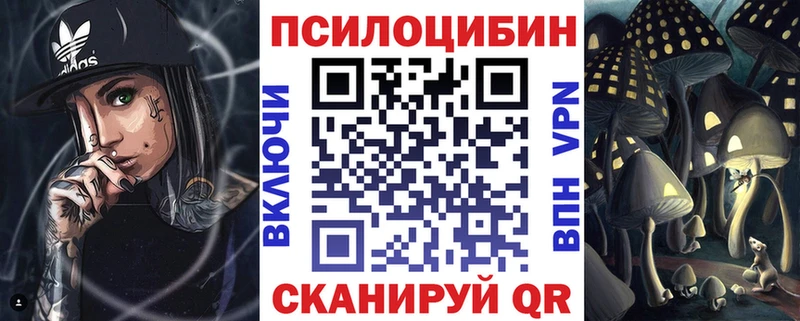 Галлюциногенные грибы Psilocybine cubensis  гидра онион  Темрюк  наркошоп 
