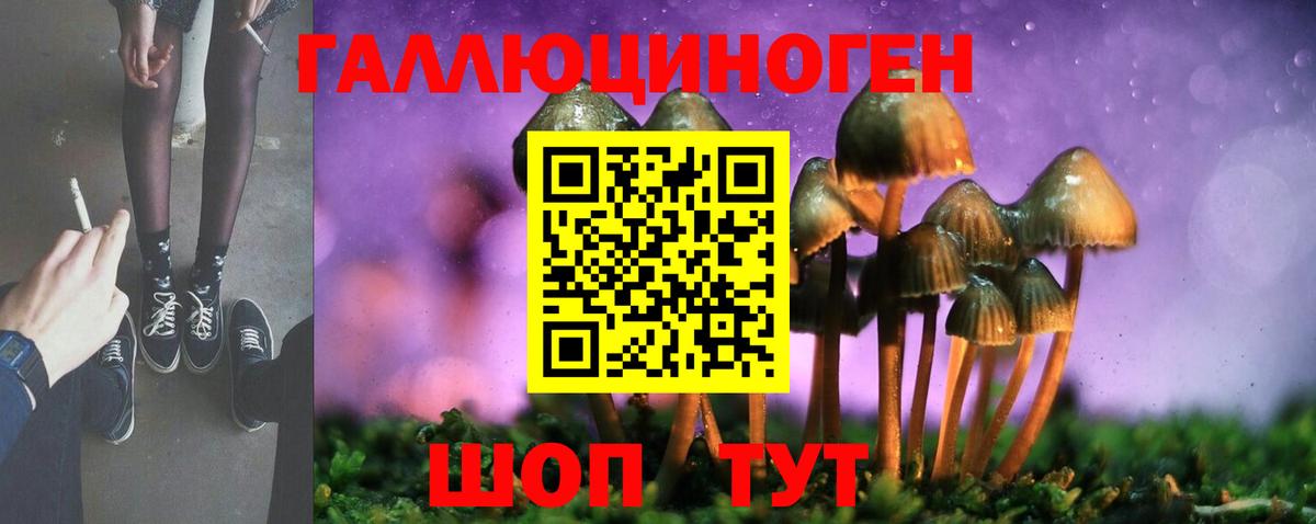 Псилоцибиновые грибы Magic Shrooms Темрюк
